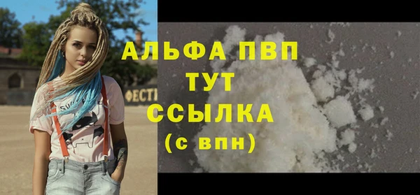 винт Абаза