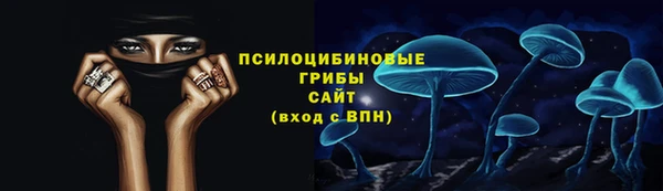 PSILOCYBIN Абдулино