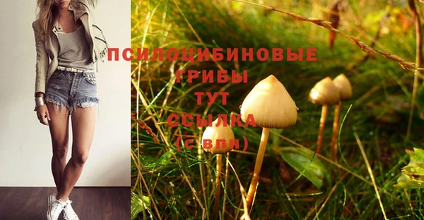 винт Абаза