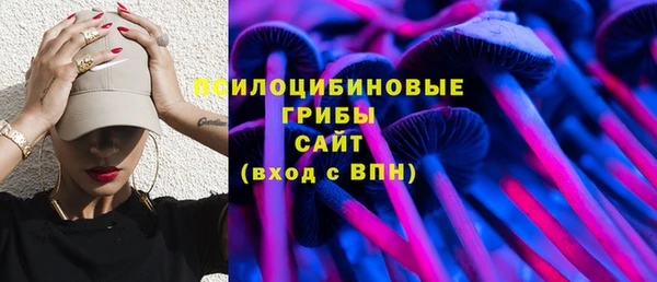винт Абаза
