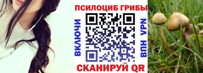 OMG вход  Нестеровская  Псилоцибиновые грибы GOLDEN TEACHER 