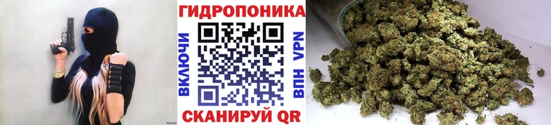 МАРИХУАНА SATIVA & INDICA  дарнет шоп  Нестеровская 